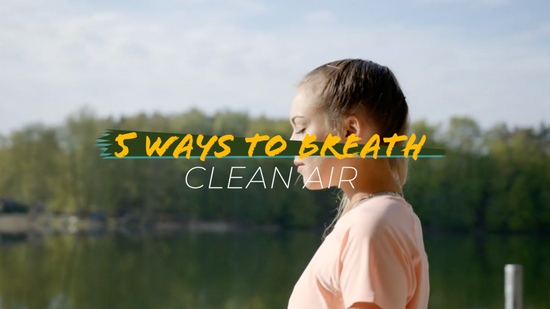 5 Ways to Breath Clean Air